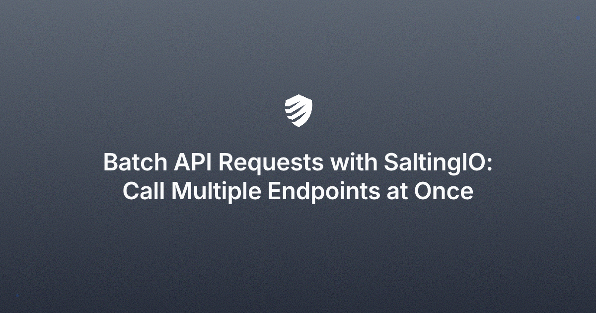 Batch API Requests with SaltingIO: Call Multiple Endpoints at Once