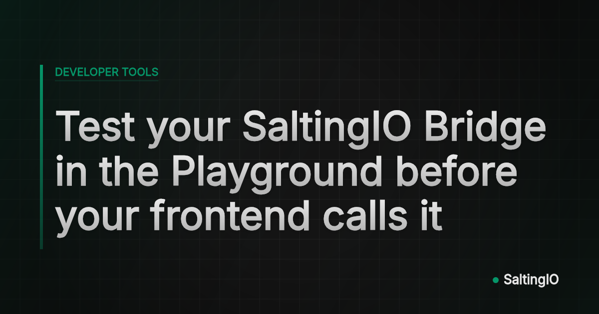 Test your SaltingIO Bridge in the Playground before your frontend calls it